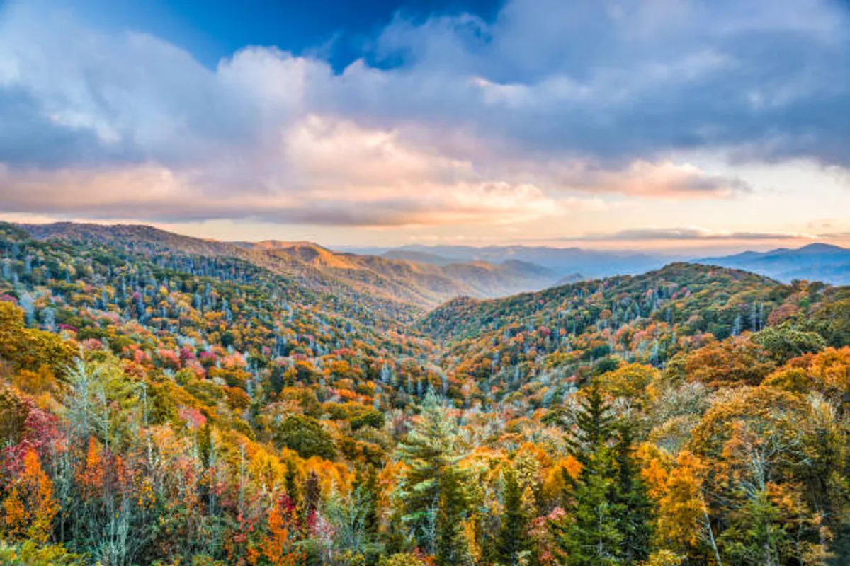 A sweeping mountain vista with rolling hills, autumn foliage, and a dramatic sky, this view embodies the natural beauty and awe-inspiring lookouts accessible from Chalet Village. The tranquil scene invites quiet moments and exploration.
